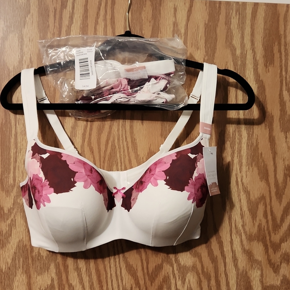 Lane Bryant bra and panty set 38DDD, very pretty! New!